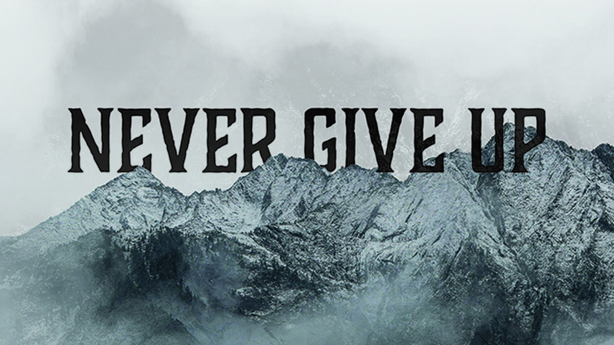 Never Give Up image number null